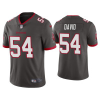 Men Tampa Bay Buccaneers #54 2020 Lavonte David Pewter Vapor Limited Jersey