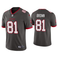 Men Tampa Bay Buccaneers #81 Antonio Brown Vapor Limited Pewter Jersey