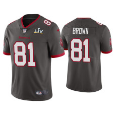 Men Tampa Bay Buccaneers #81 Antonio Brown Super Bowl LV Pewter Vapor Limited Jersey