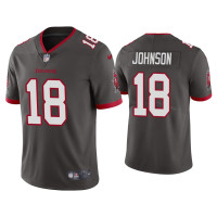 Men Tampa Bay Buccaneers #18 Vapor Limited Tyler Johnson Pewter Jersey